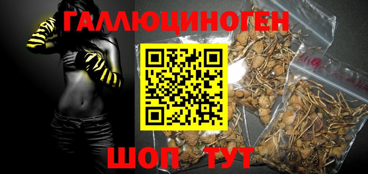 Псилоцибиновые грибы Magic Shrooms Лангепас